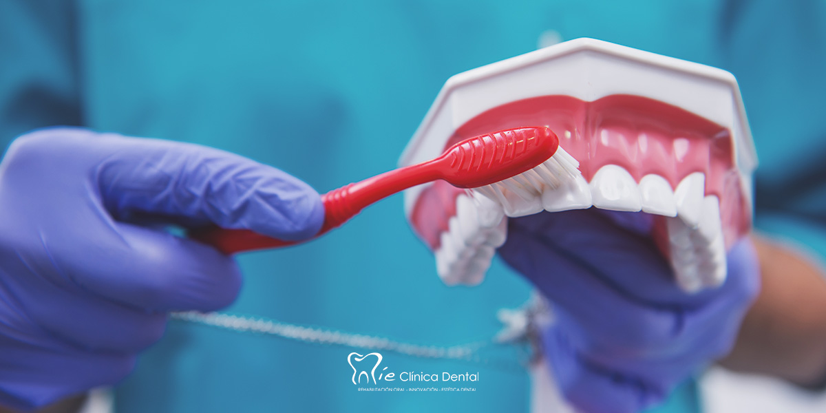 USO CORRECTO DEL CEPILLO DE DIENTES: GUÍA PRÁCTICA PARA UNA HIGIENE ...